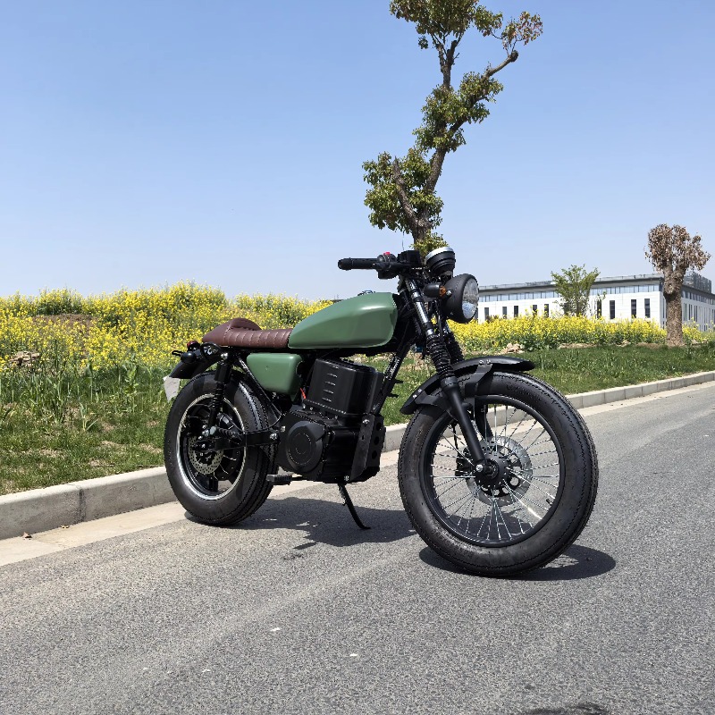 Krono Wild Chinese Prices Big  - огляд і ціна Motorcycle Chain