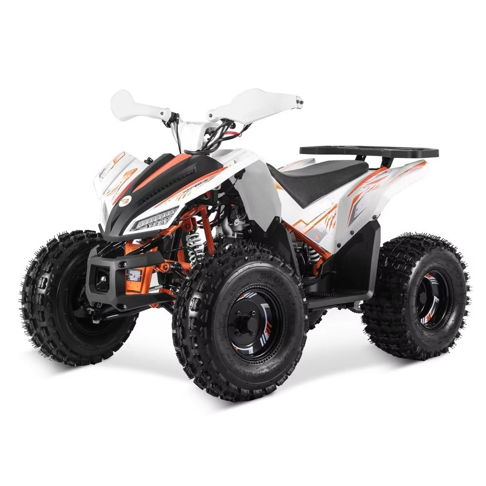Stlf Tao Motor 2026 New Sport  - огляд і ціна Bike Chain