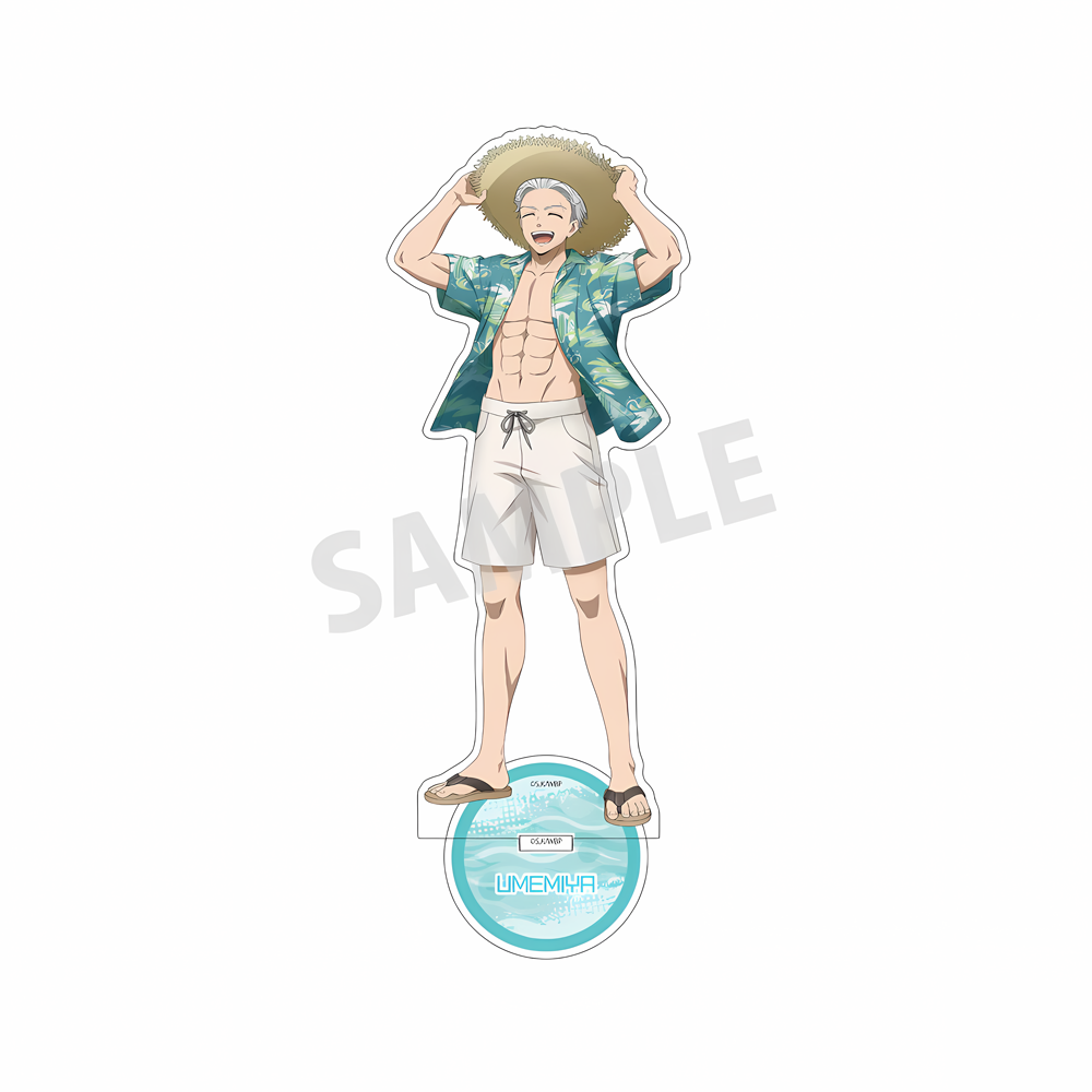 Anime WIND BREAKER 15cm Acryli - огляд і ціна Chain Breaker